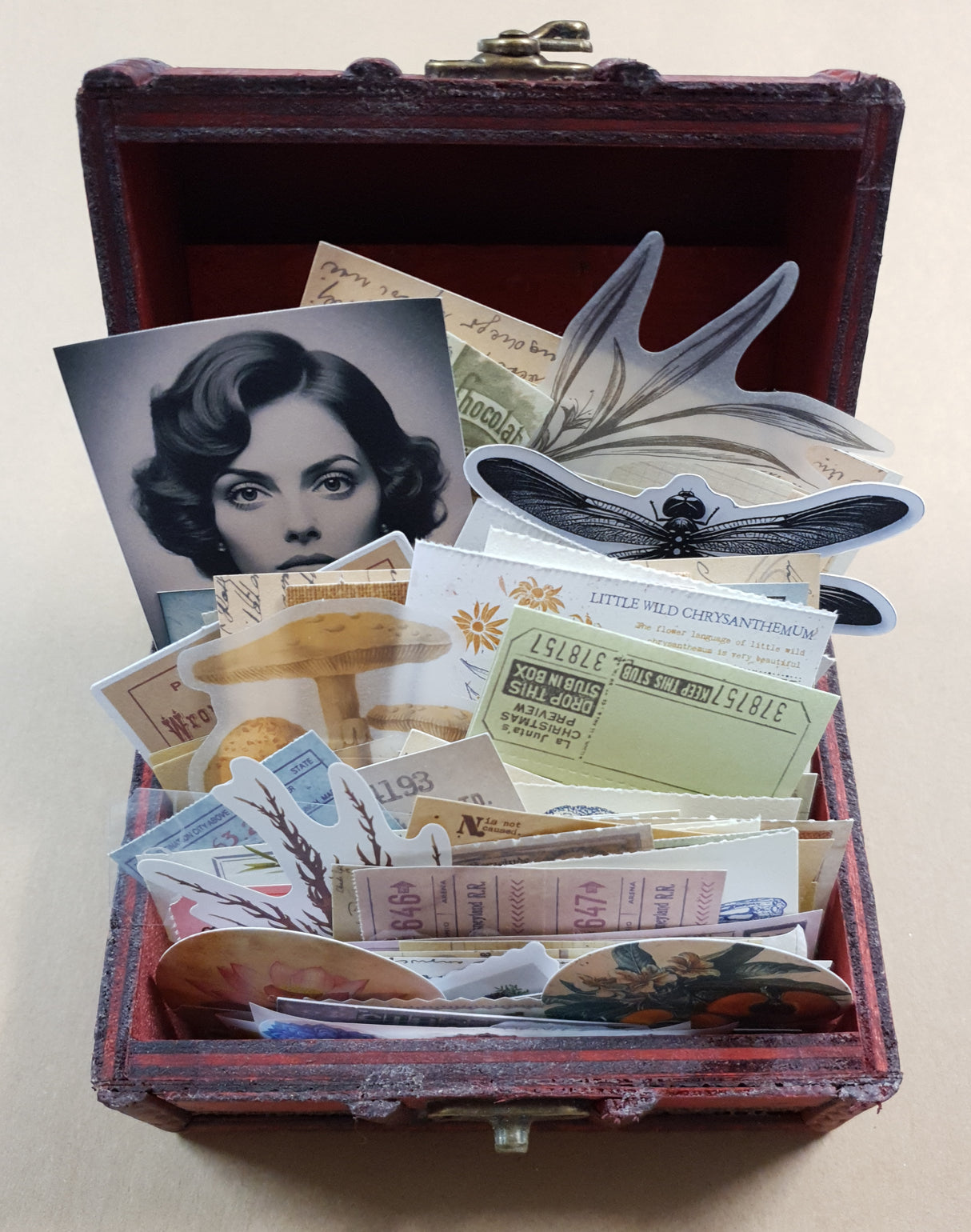 Ephemera Treasure Chest