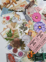 Ephemera Treasure Chest