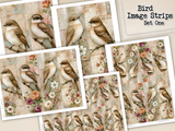 Bird Image Strips - Set One - DI-10321 - Digital Download