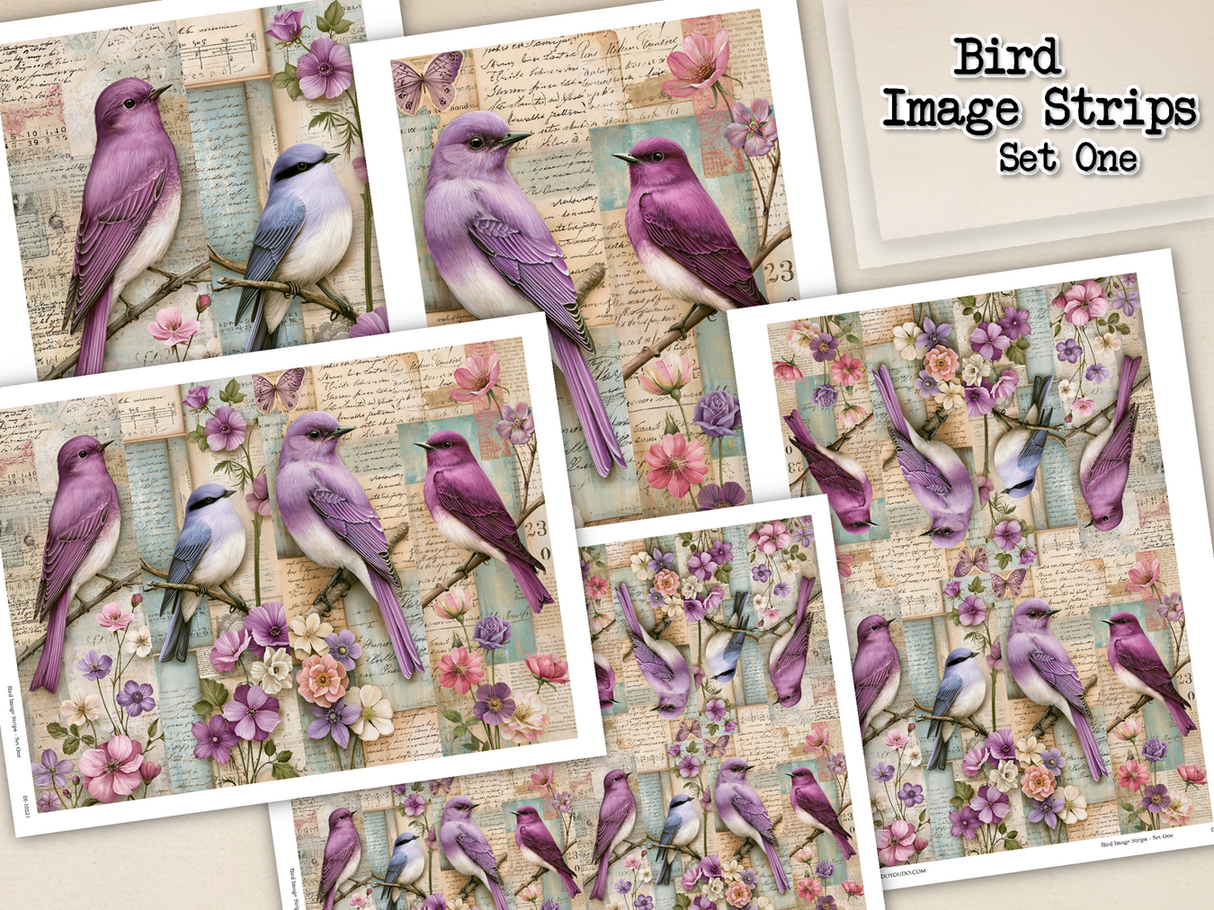 Bird Image Strips - Set One - DI-10321 - Digital Download