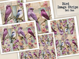 Bird Image Strips - Set One - DI-10321 - Digital Download