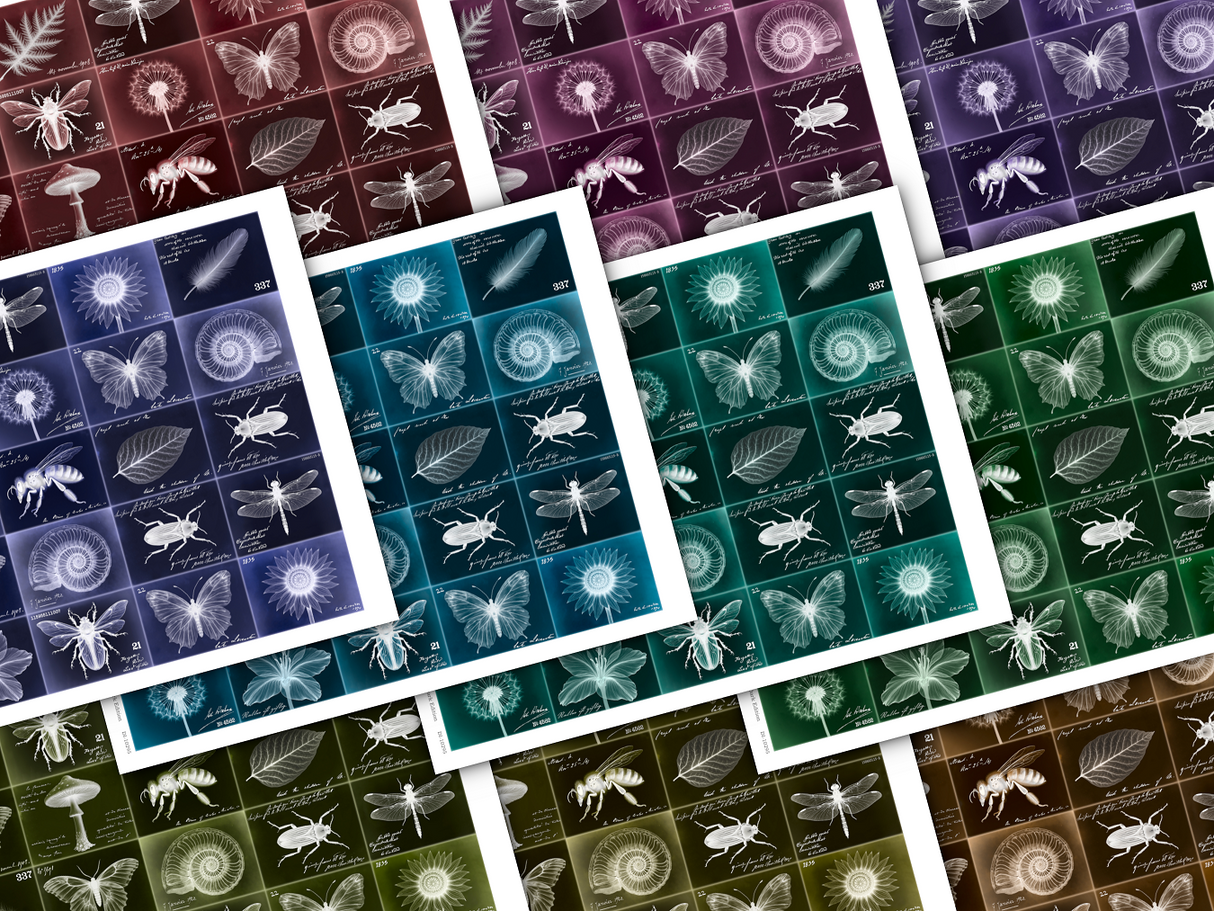 Layering Labels - Set Two - Images - Dark Edition - DI-10295 - Digital Download