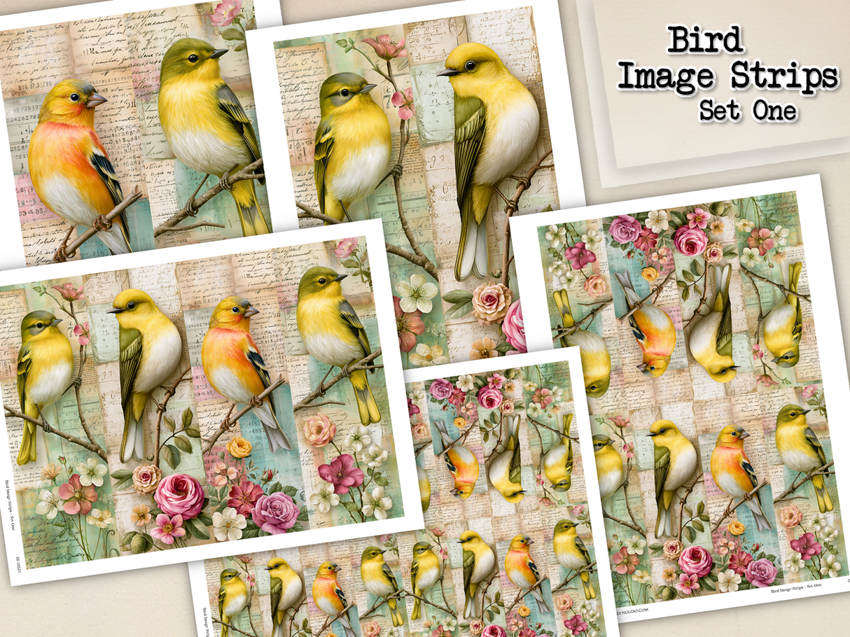 Bird Image Strips - Set One - DI-10321 - Digital Download