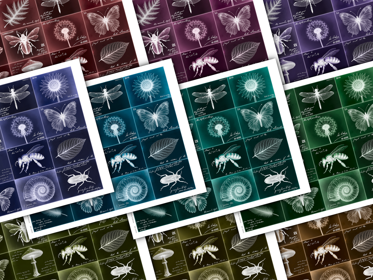 Layering Labels - Set Two - Images - Dark Edition - DI-10295 - Digital Download