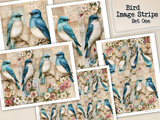 Bird Image Strips - Set One - DI-10321 - Digital Download