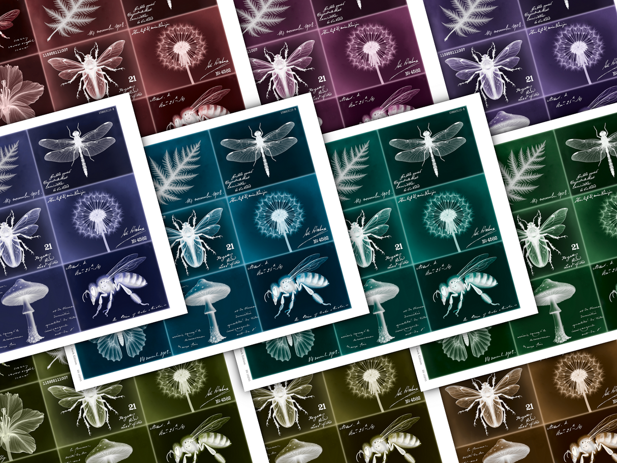Layering Labels - Set Two - Images - Dark Edition - DI-10295 - Digital Download