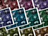 Layering Labels - Set Two - Images - Dark Edition - DI-10295 - Digital Download