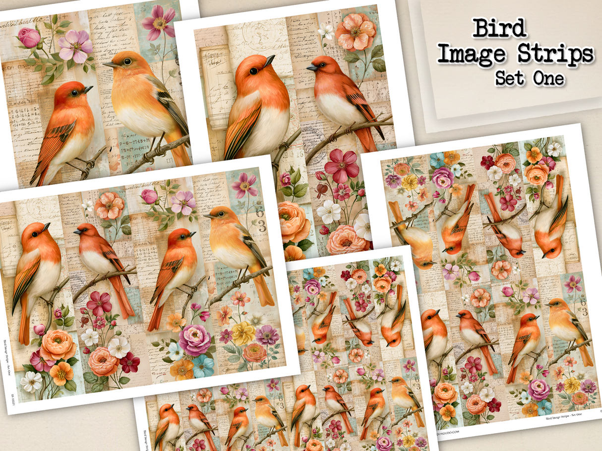 Bird Image Strips - Set One - DI-10321 - Digital Download