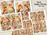 Bird Image Strips - Set One - DI-10321 - Digital Download