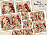 Bird Image Strips - Set One - DI-10321 - Digital Download