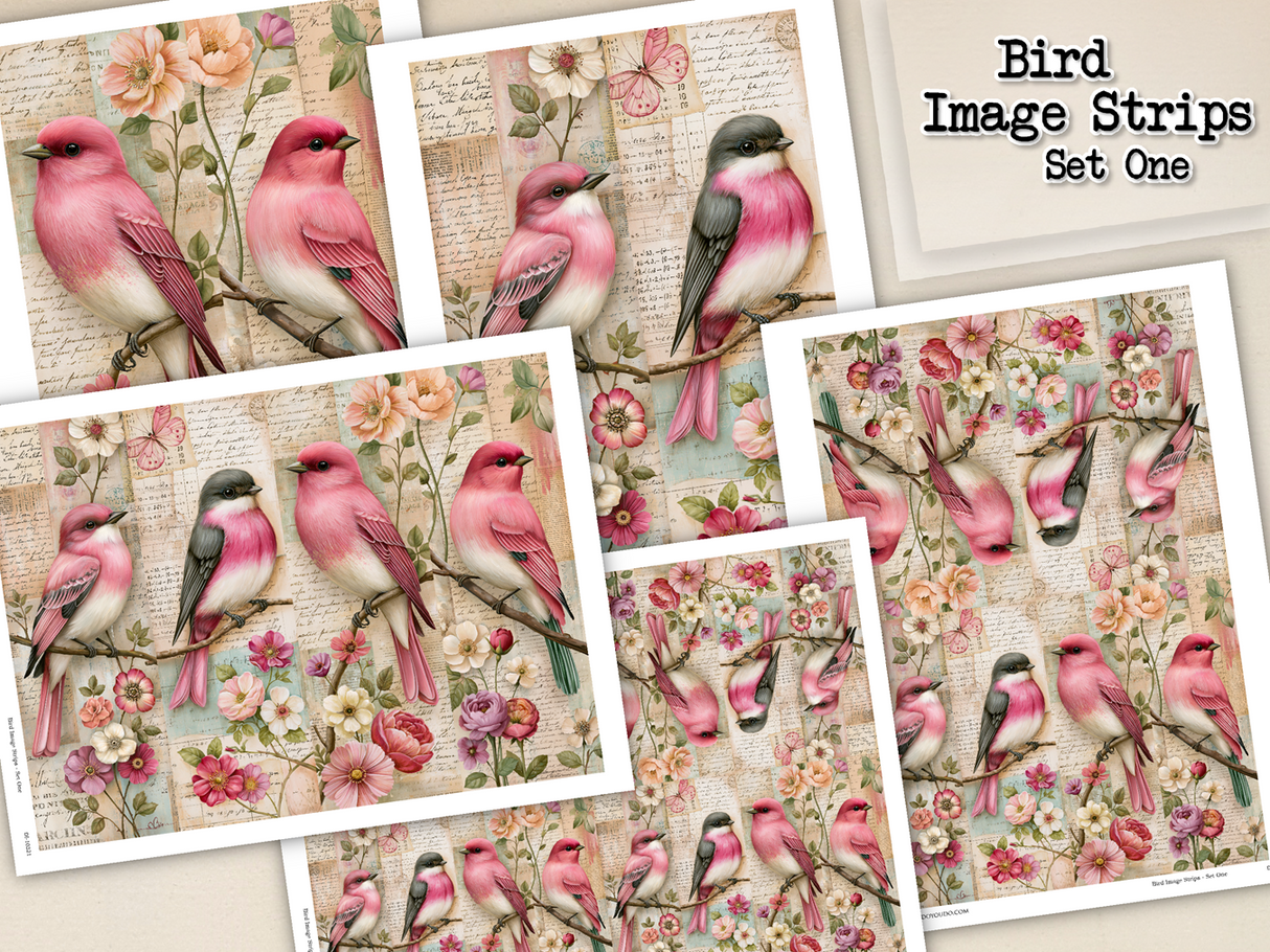 Bird Image Strips - Set One - DI-10321 - Digital Download