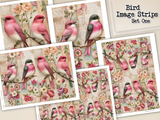 Bird Image Strips - Set One - DI-10321 - Digital Download