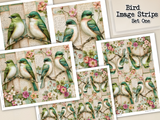 Bird Image Strips - Set One - DI-10321 - Digital Download