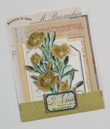 Mini Assorted Ephemera Pack - FD