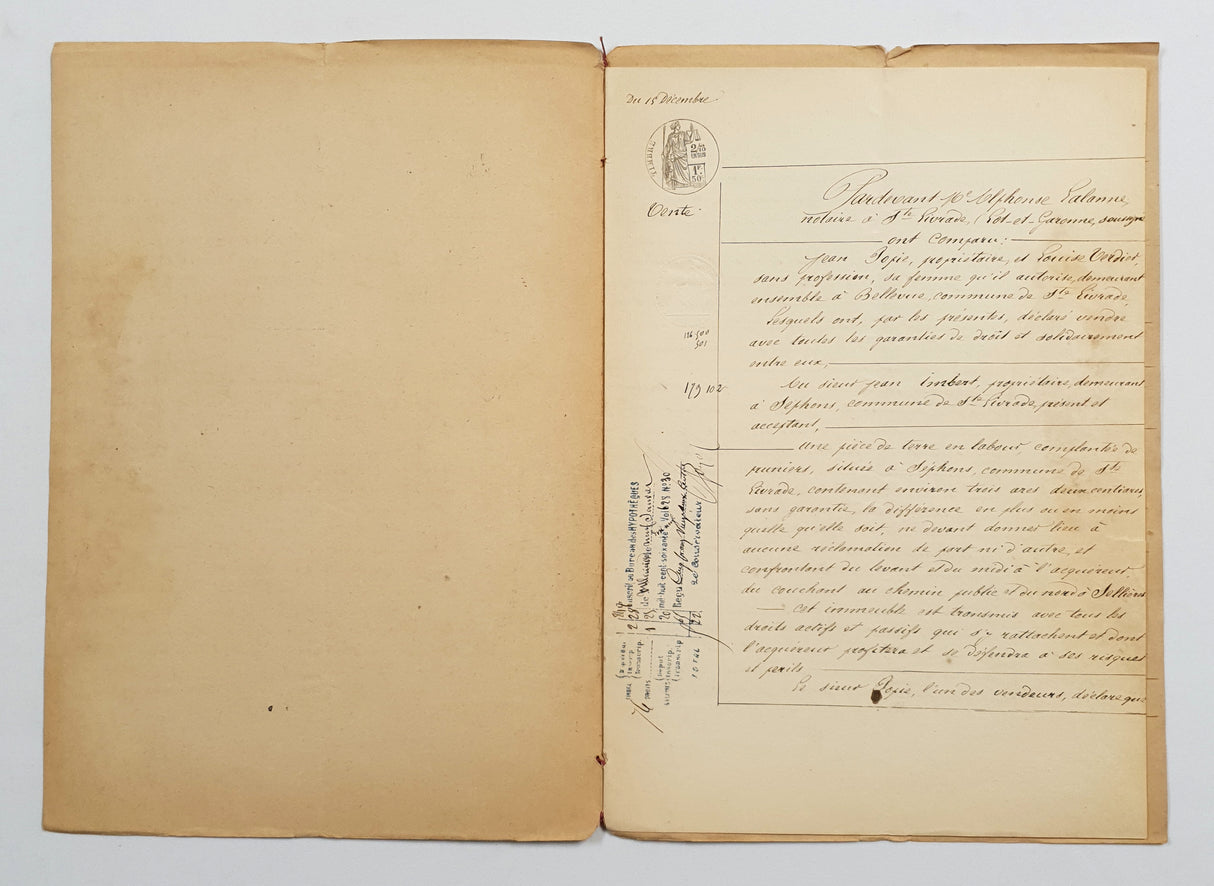 Authentic Antique French 1878 Notaire Document - FE