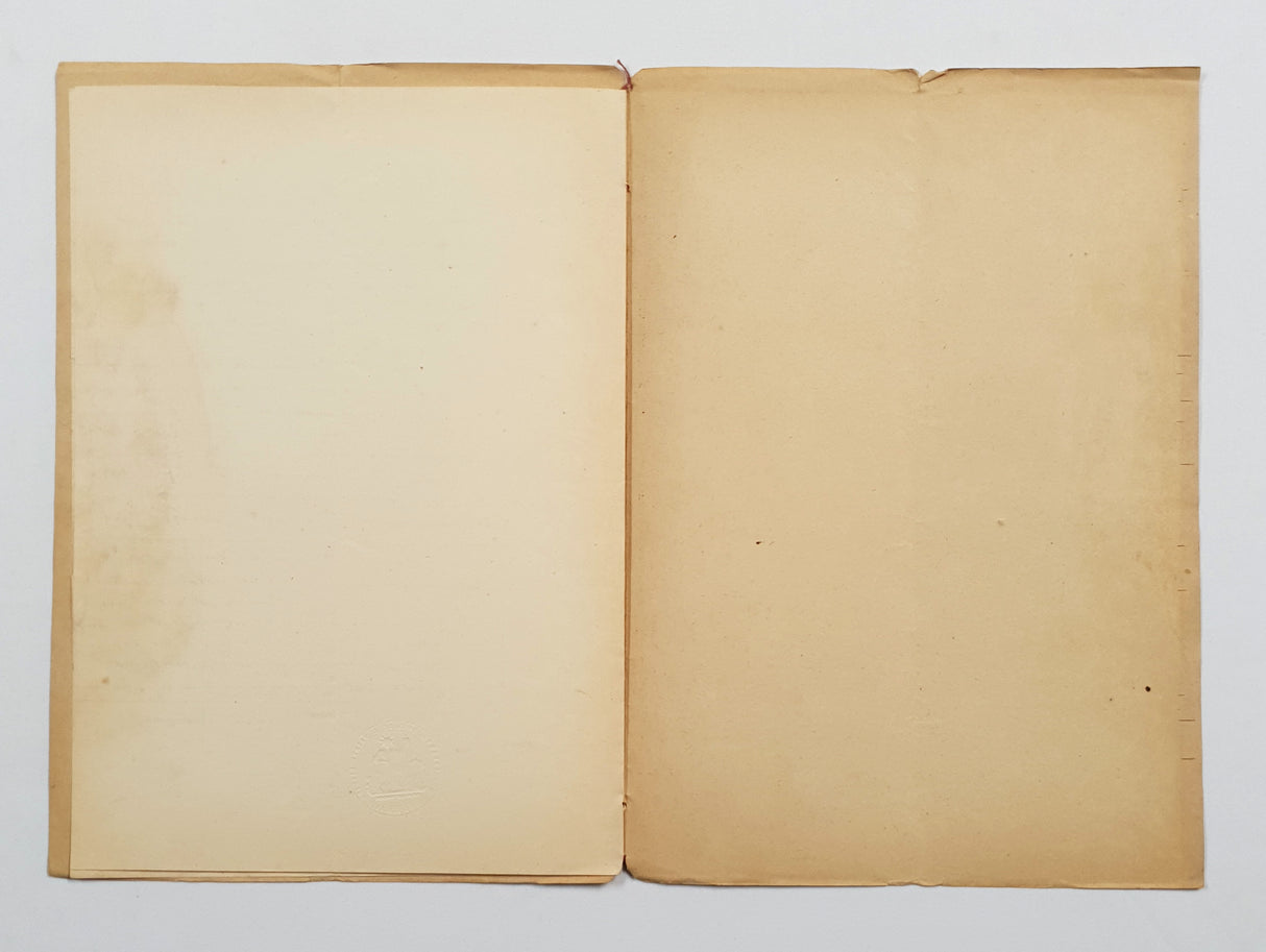 Authentic Antique French 1878 Notaire Document - FE