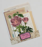 Mini Assorted Ephemera Pack - FF