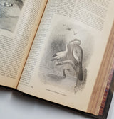 Authentic Antique Book - FH