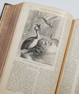 Authentic Antique Book - FH