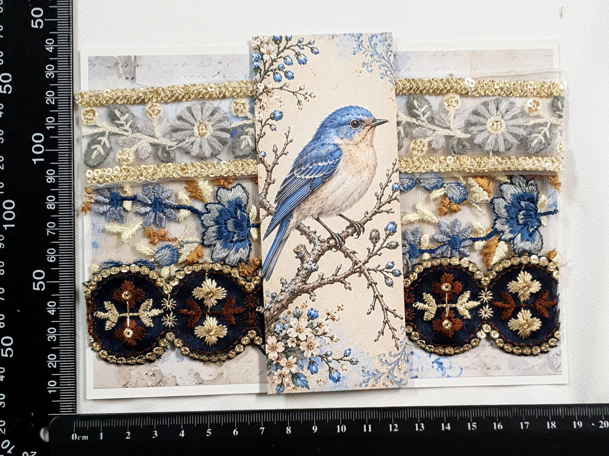 Assorted Embroidered Trim Pack - FN