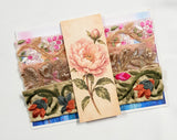 Assorted Embroidered Trim Pack - FO