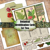 FREEBIE - Botanical Identification Cards - Set Two - DI-10262 - Digital Download