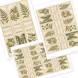 French Image Strips - Set One - DI-10345 - Digital Download