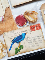 Motherloads Vintage Memories – Ephemera & Embellishment Collection - HH