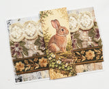 Assorted Embroidered Trim Pack - IS