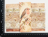 Assorted Embroidered Trim Pack - IZ