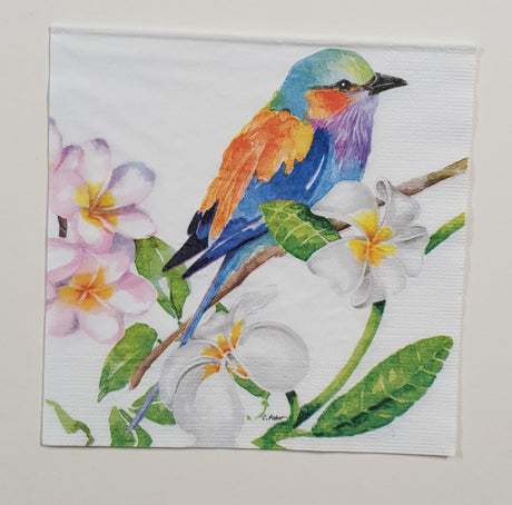 Inspiration Pack - FN