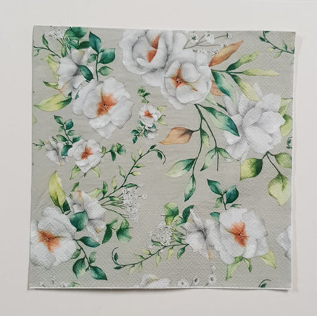 Inspiration Pack - FS