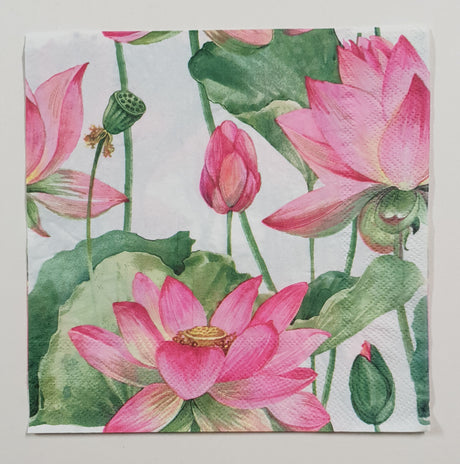 Motherloads Inspiration Pack - OU