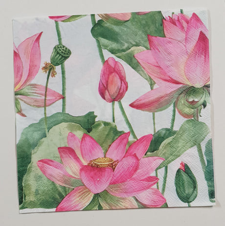 Inspiration Pack - OW