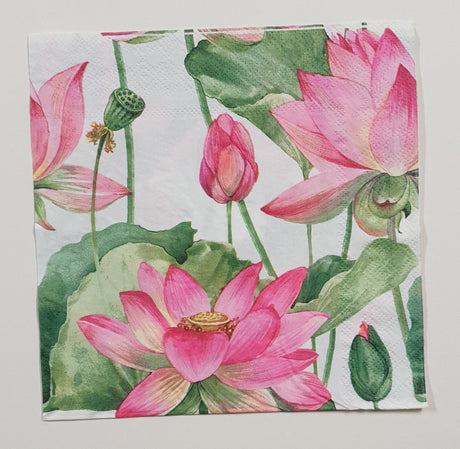 Inspiration Pack - PB