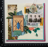 Inspiration Pack - PL