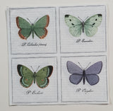 Inspiration Pack - PQ