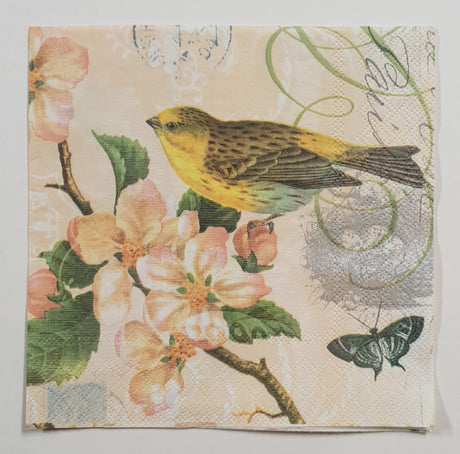 Inspiration Pack - PT