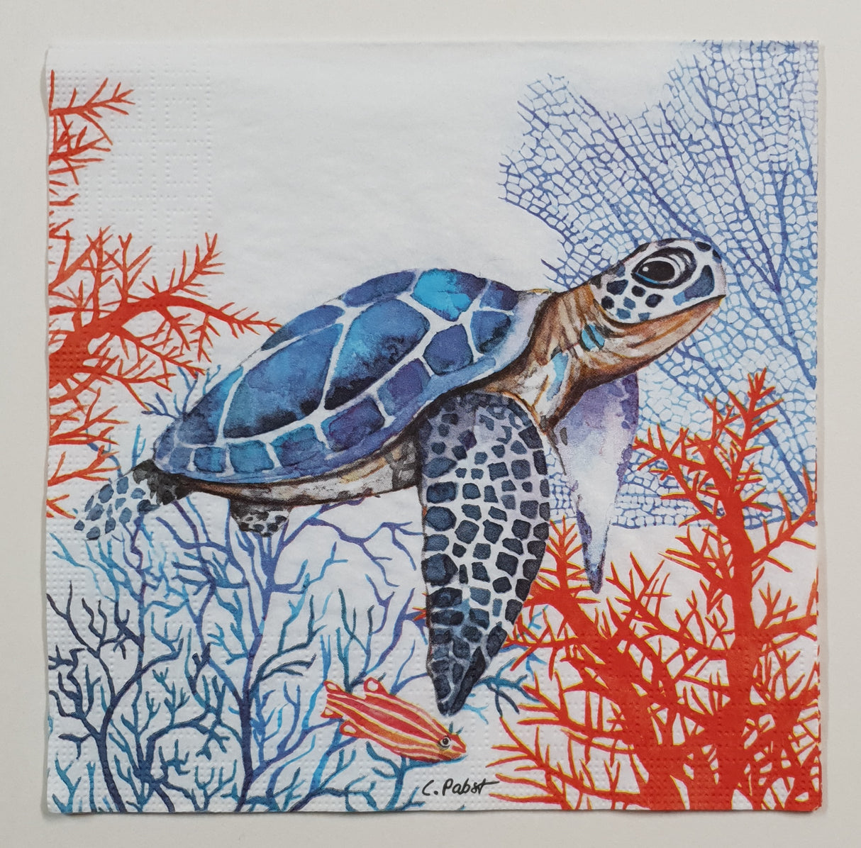 Inspiration Pack - PX