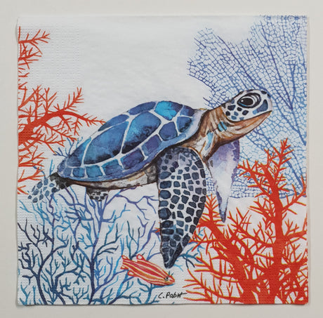 Inspiration Pack - PX