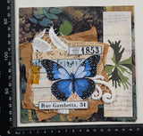 Inspiration Pack - PZ