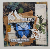 Inspiration Pack - PZ