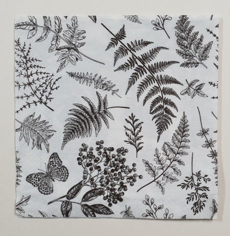 Inspiration Pack - QC