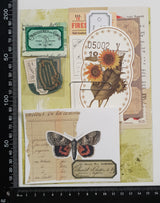 Inspiration Pack - QZ