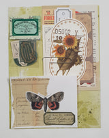 Inspiration Pack - QZ