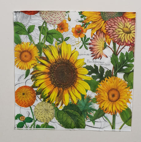 Inspiration Pack - TT