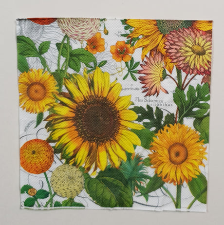 Inspiration Pack - TW