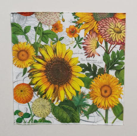 Inspiration Pack - TX