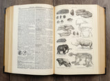 Authentic Antique German Book - JG