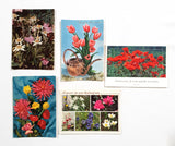 Authentic Vintage/Antique French Postcard - Set of 5 - KZ
